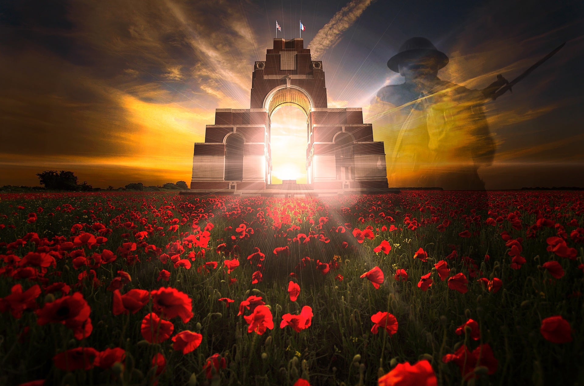 remembrance-day-poppy|Rememberance Day