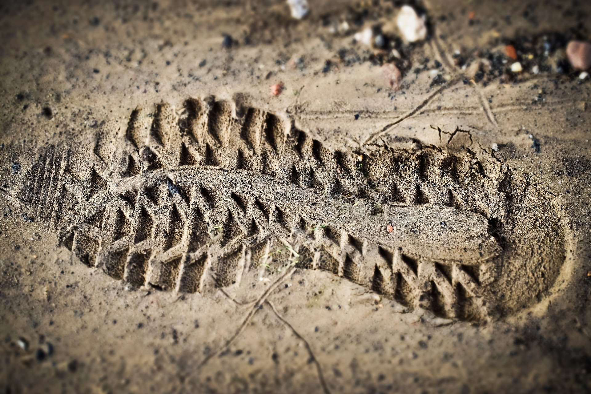 shoe-print|